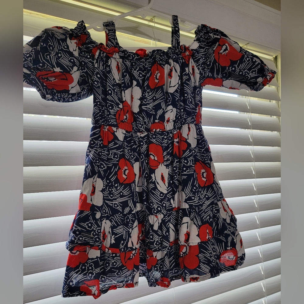 Janie and Jack Patriotic Floral Dress
